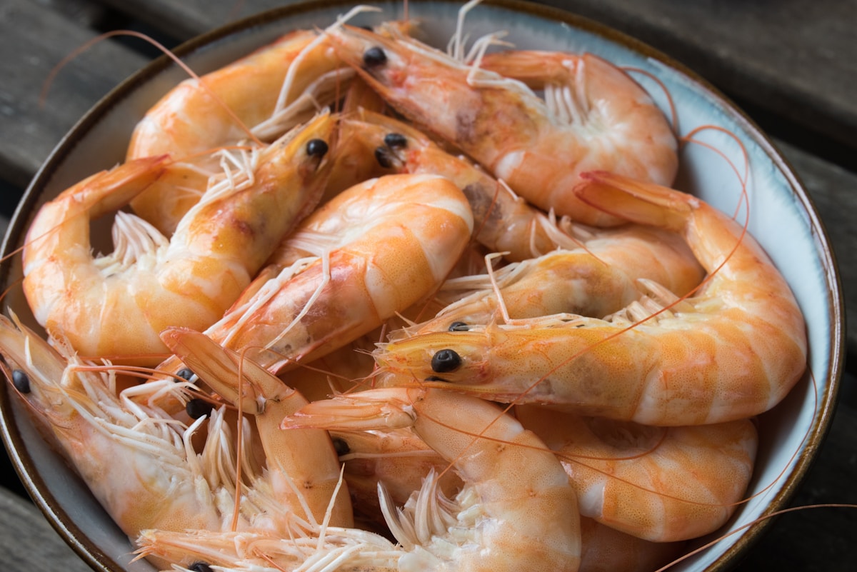Catering Seafood Variety
